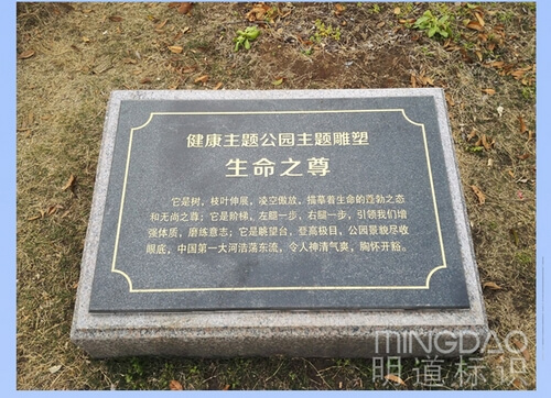 游艇会yth·(中国区)官方网站