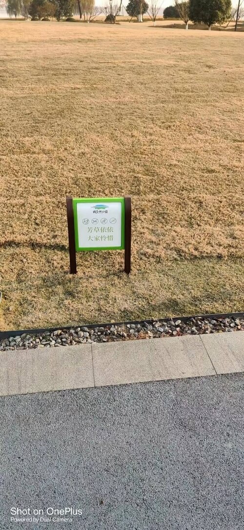 游艇会yth·(中国区)官方网站